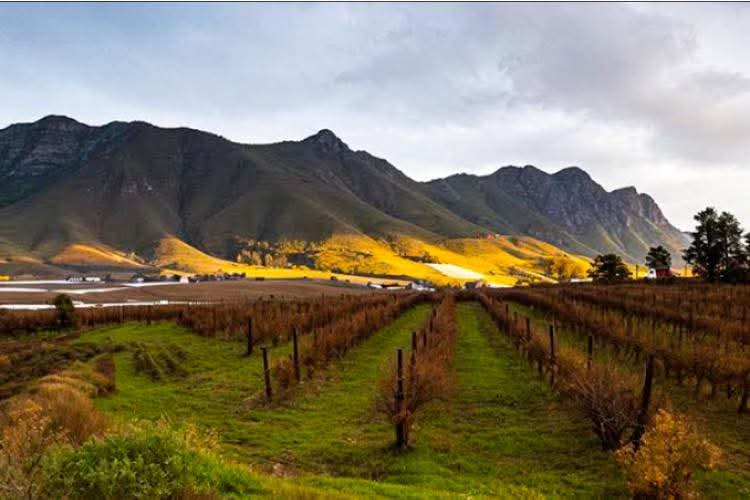 Riebeek Kasteel